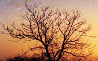 蘑菇短视频隐藏细节：选题库原来是这么安排的｜你会站谁？