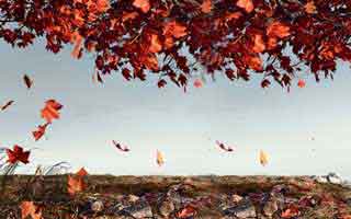 别急着转发吃瓜爆料标题太会写但黑料万里长征首页里这几个传播路径要先看