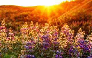 别急着转发吃瓜爆料标题太会写但黑料万里长征首页里这几个传播路径要先看