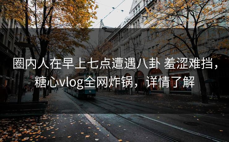圈内人在早上七点遭遇八卦 羞涩难挡，糖心vlog全网炸锅，详情了解