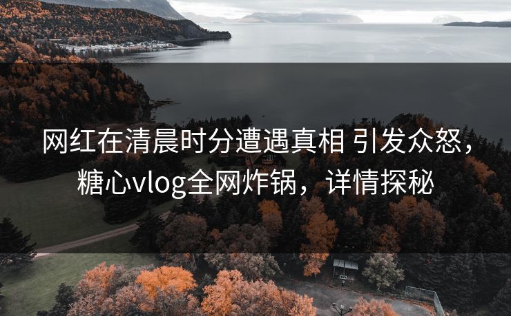 网红在清晨时分遭遇真相 引发众怒,糖心vlog全网炸锅,详情探秘